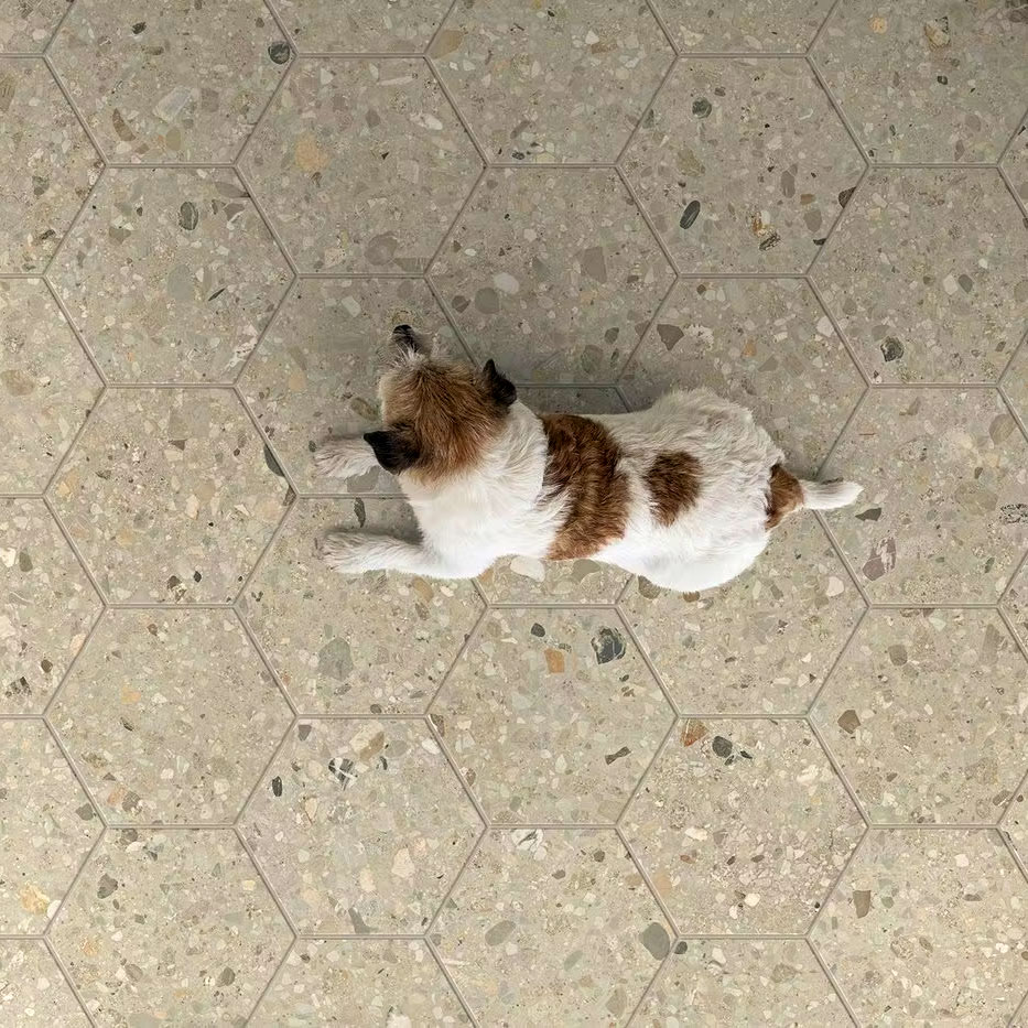 7fc3dd_2ff66a3d659b4582856777ebae1d68b2~mv2