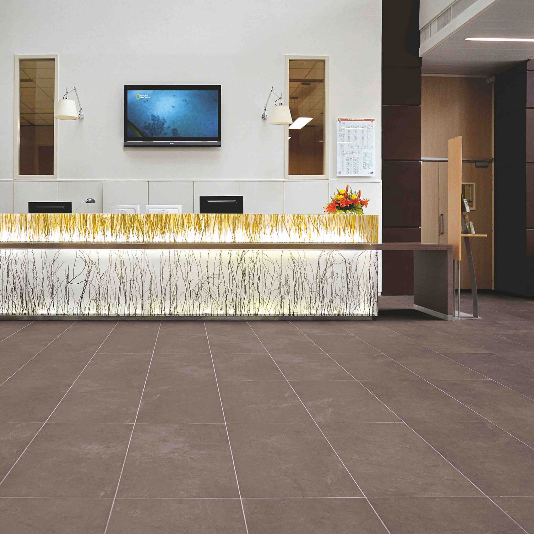 7fc3dd_ade6cf6ae5b2415fa8bb2bf9a9829b1b~mv2